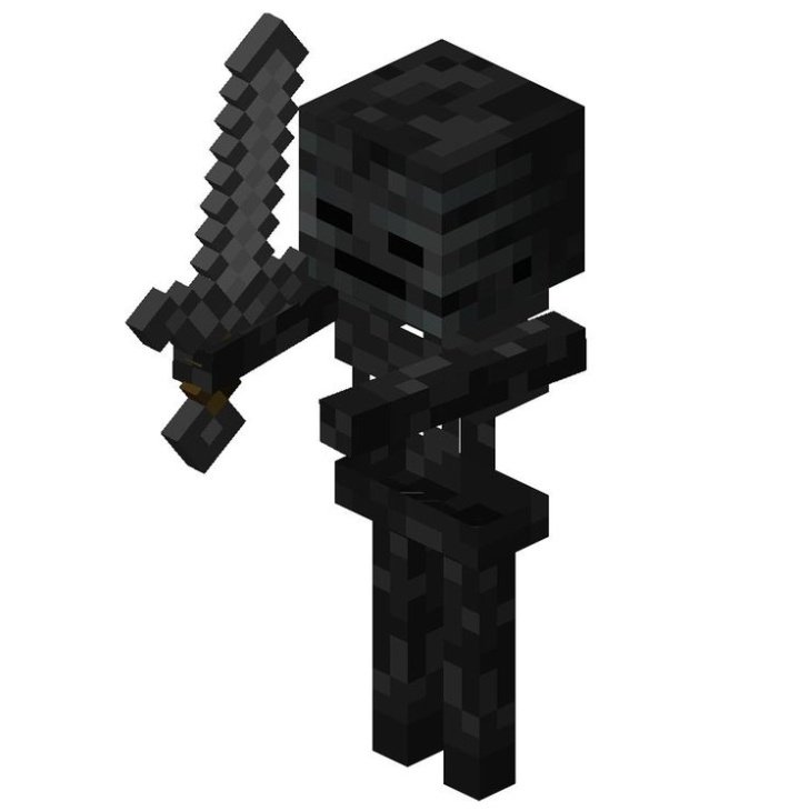 elli 🍉 tweet media