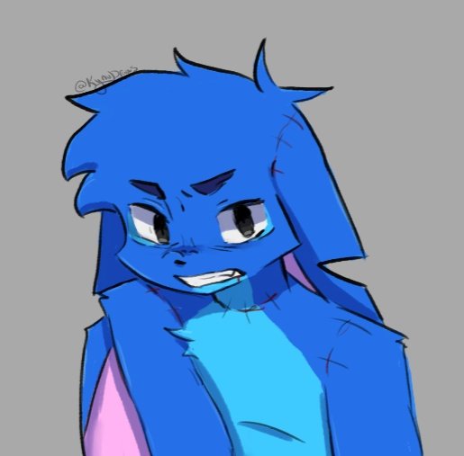 KynuDraws🐰🎀 tweet media