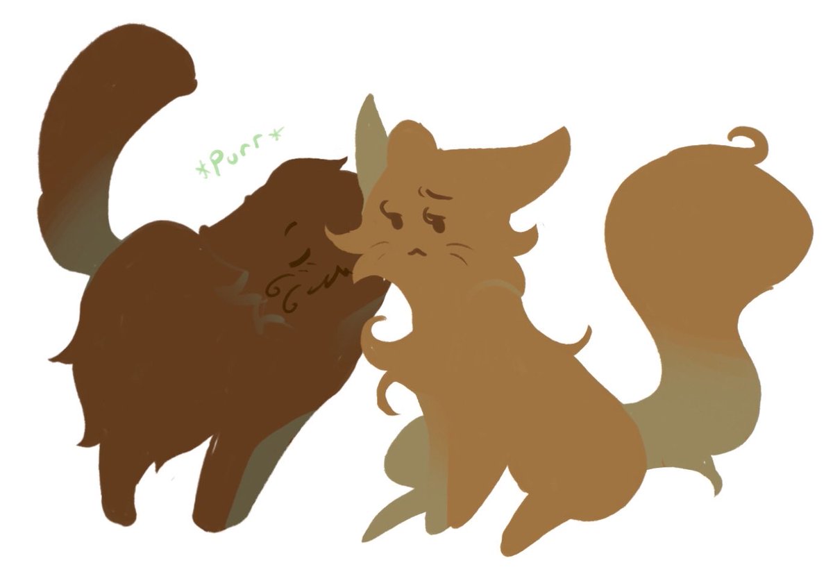 cher 🐍 tweet media