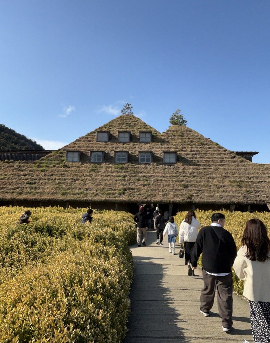 チッチ tweet media