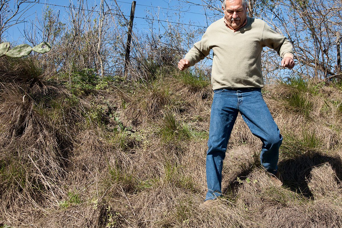 Amnistía Internacional Argentina tweet media