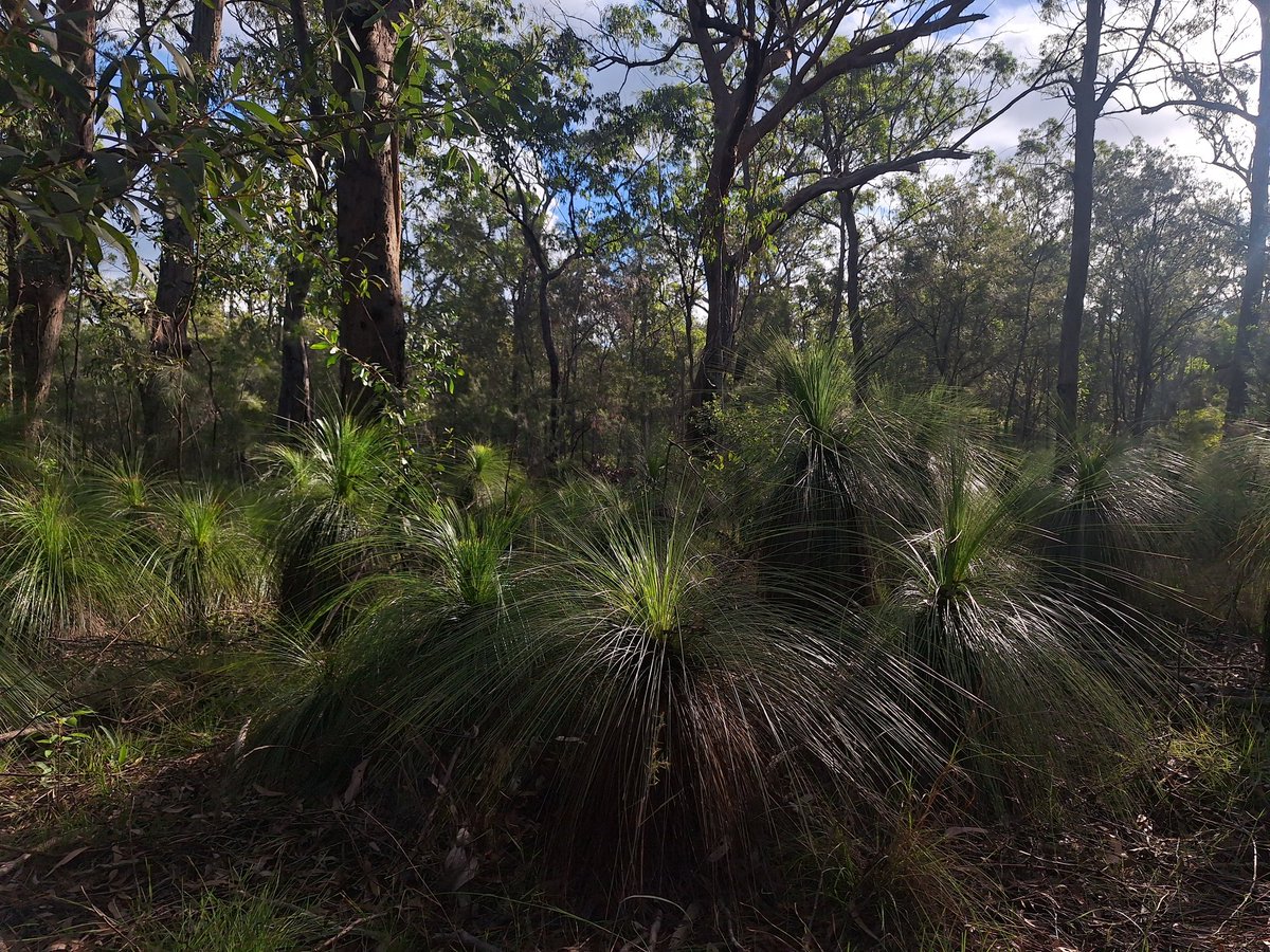 616RED_'s tweet image. user 616red_ off twitter :]