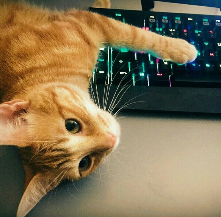 Wilson Daily tweet media