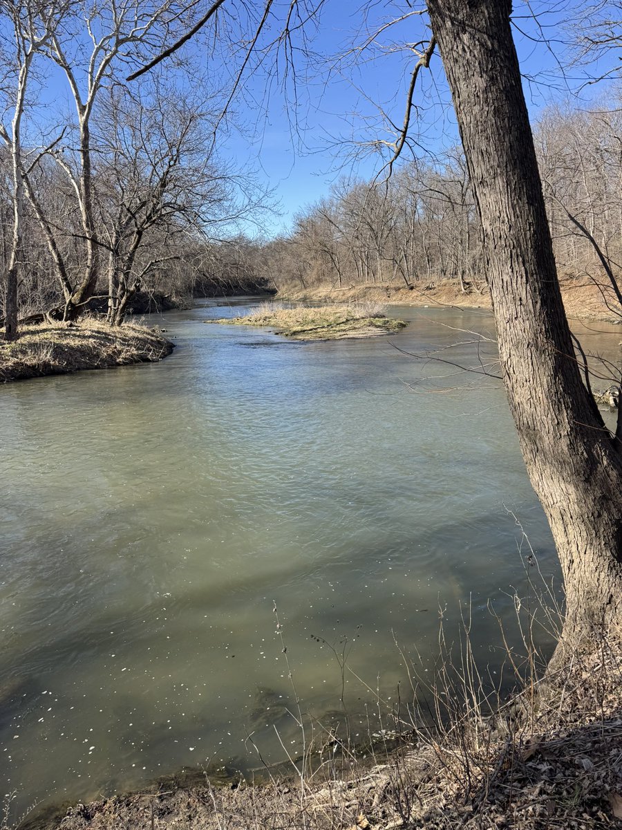 PastorWarren14's tweet photo. Mondays are for the dogs 🐕 - 3/23/26 https://t.co/jp1MEHgbQK via @YouTube #MondayMotivation #MondayMarvels #MondayMood #MondayThoughts #Monday #NatureWalks #WalkingDogs #StackingStones https://t.co/FutbZGOyOh
