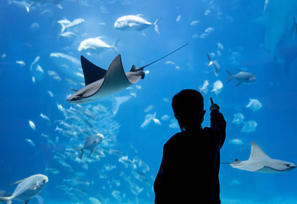 kingdoodoo69 tweet media