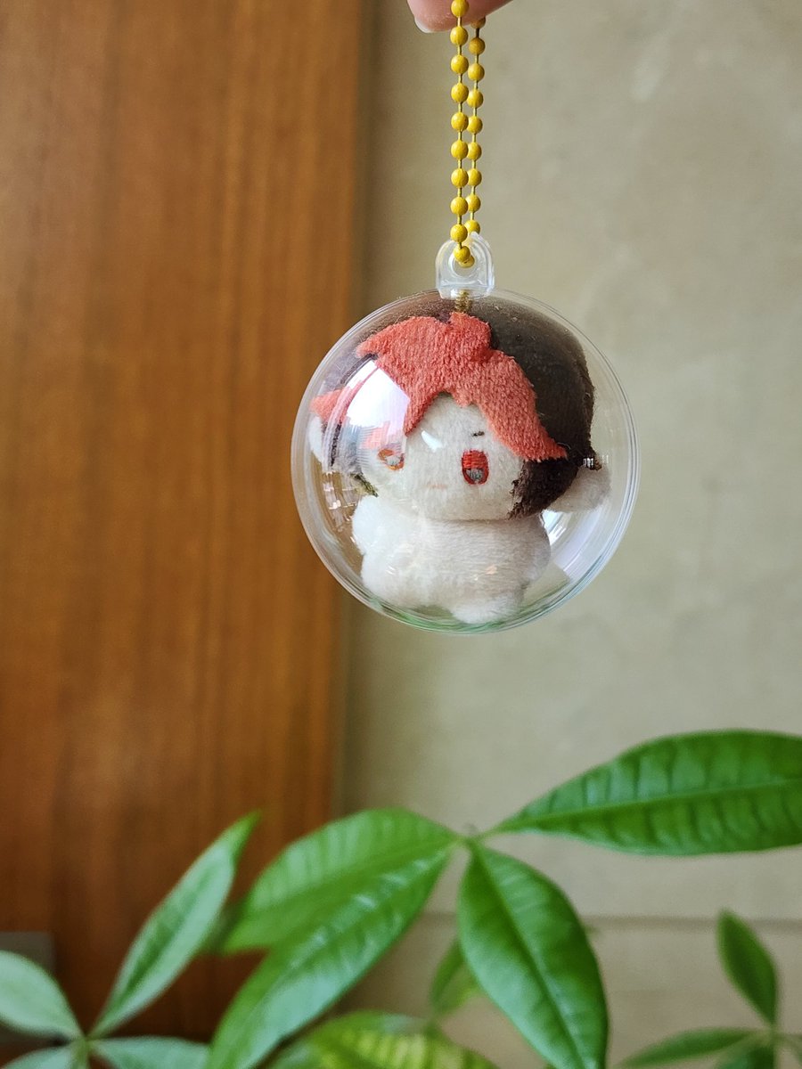 모운 tweet media