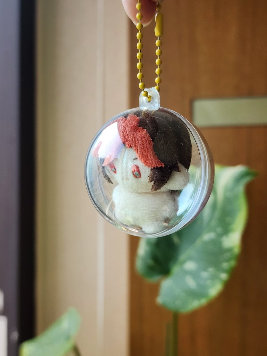 모운 tweet media