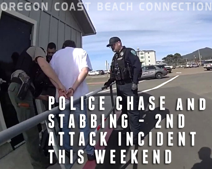 Oregon Coast tweet media