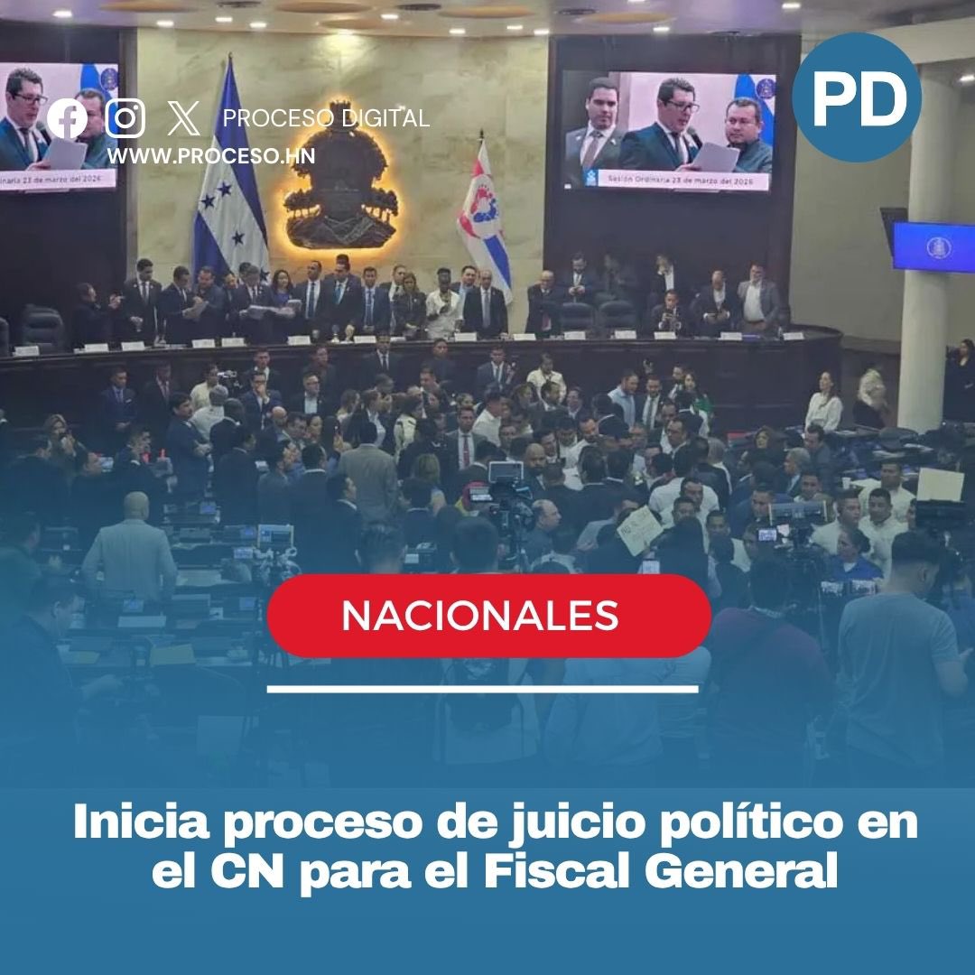 Proceso Digital tweet media