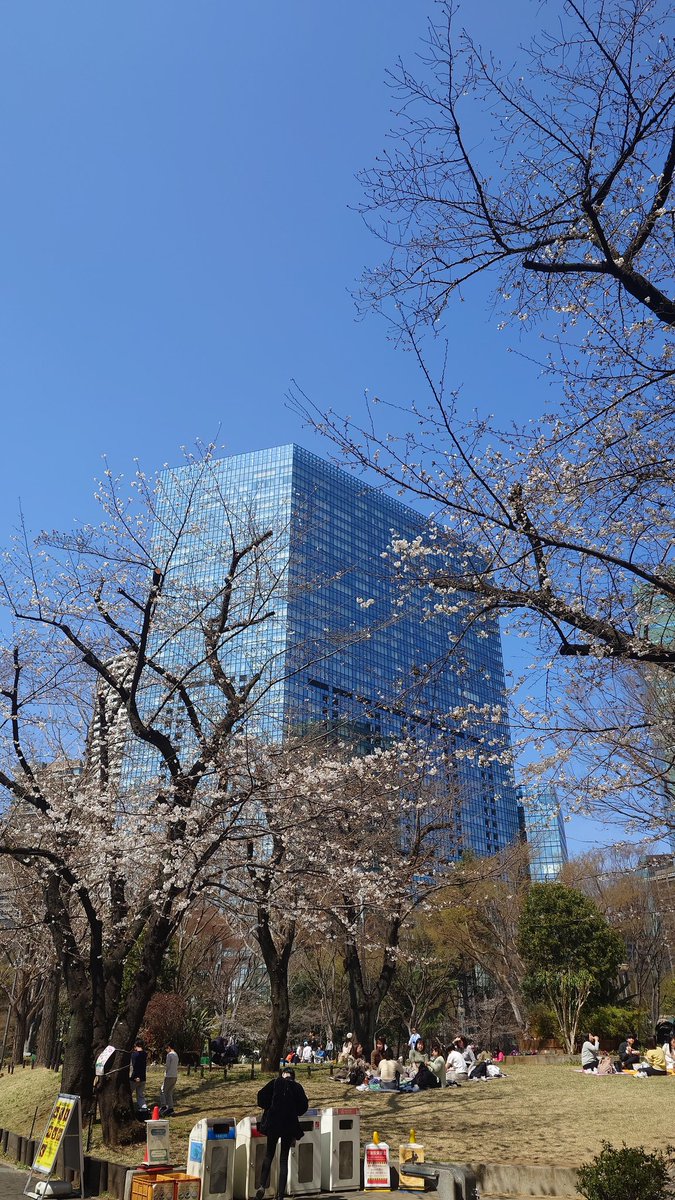 SR-Σﾀﾞﾖ tweet media