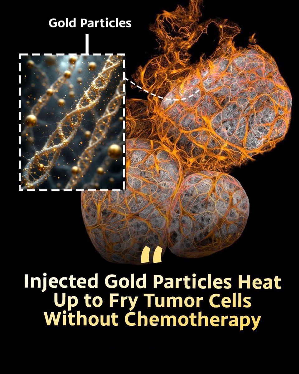 Science Unfold tweet media