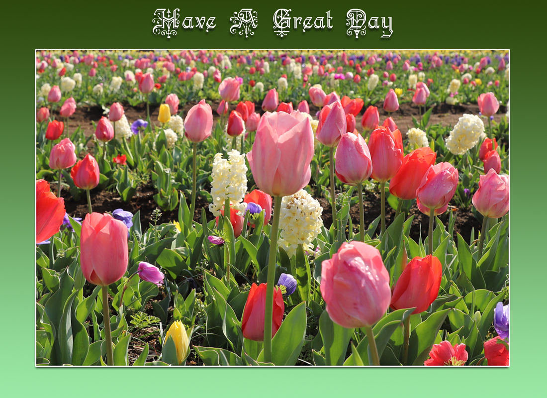 Hiro Kitsukawa tweet media