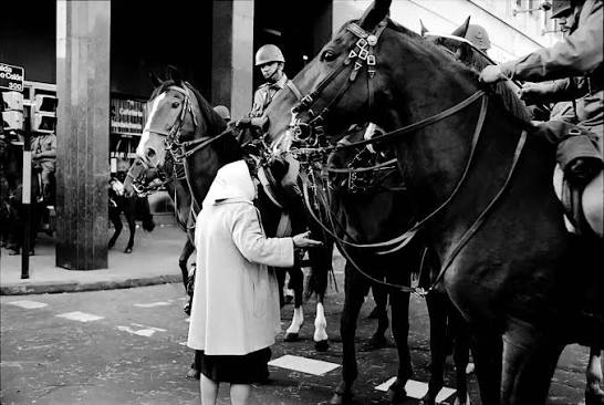 antinolan. tweet media