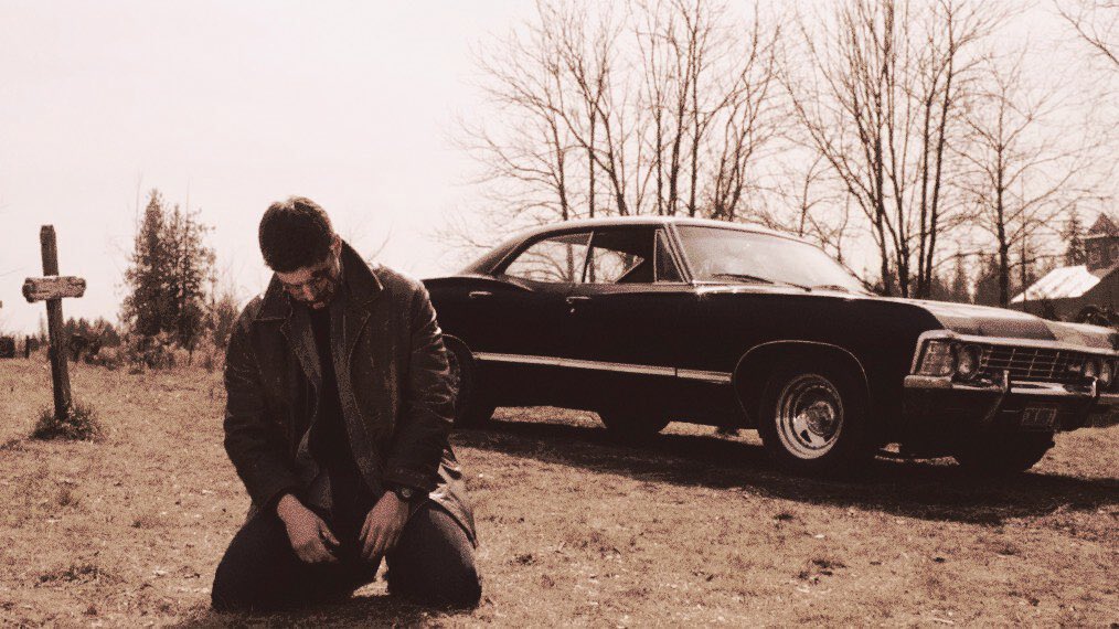 𝗕𝗔𝗧𝗧𝗘𝗥𝗘𝗗 ( ♱⃓ ) 𝕭𝗥𝗨𝗜𝗦𝗘𝗗. tweet media