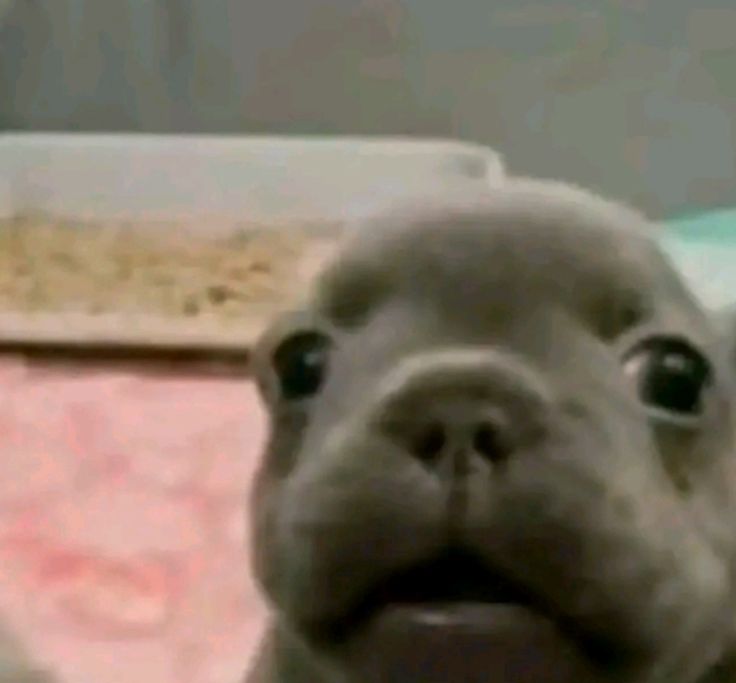 bimten 🌾🍻 tweet media