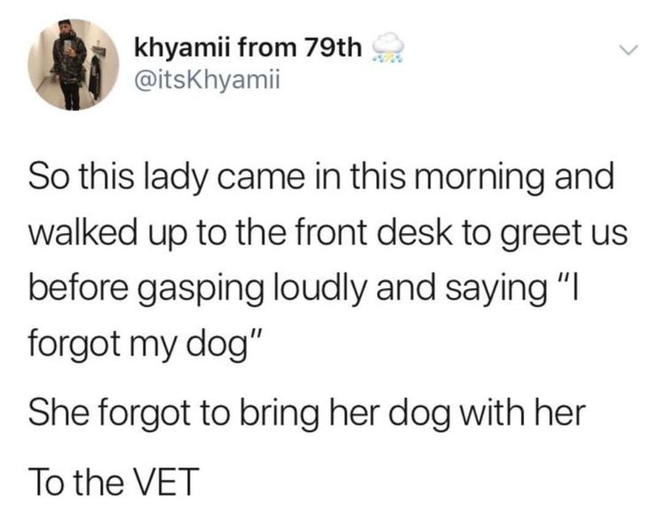 Wolf of X tweet media