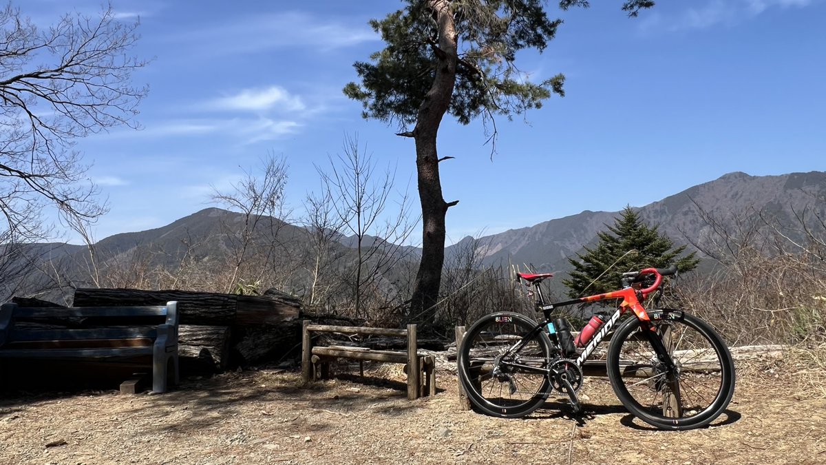 独身没落貴族ひろ tweet media