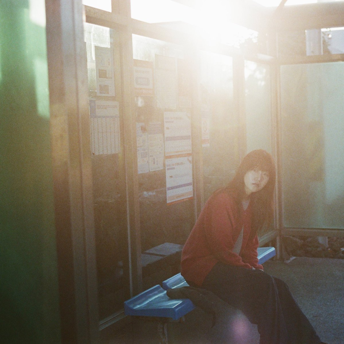 이설아 tweet media