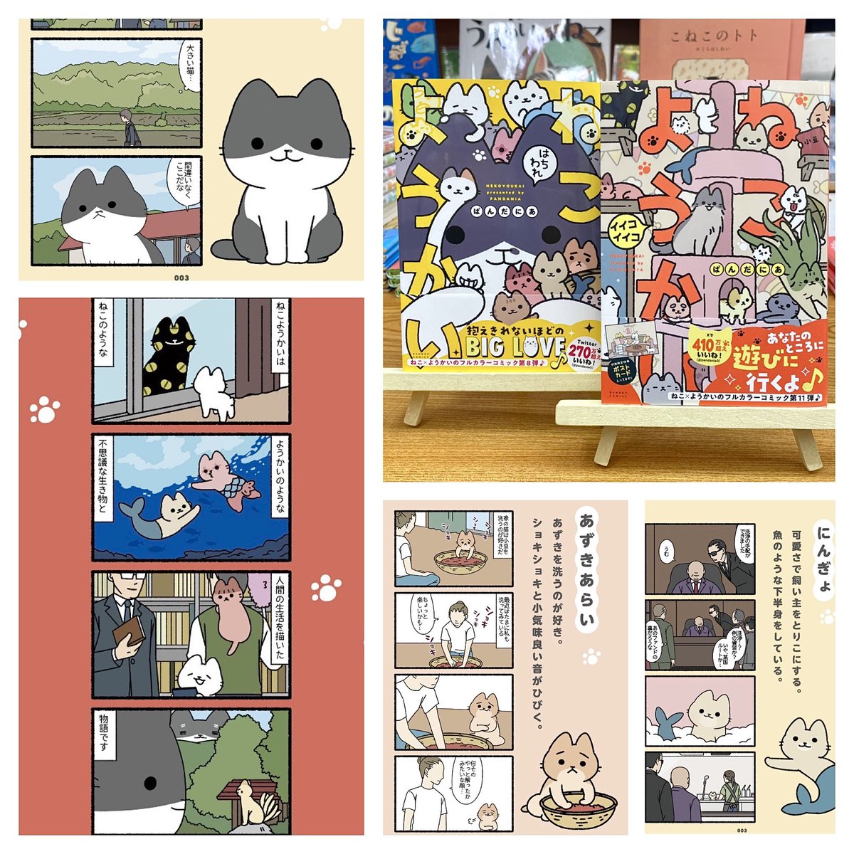 猫本専門 神保町にゃんこ堂_姉川書店 tweet media