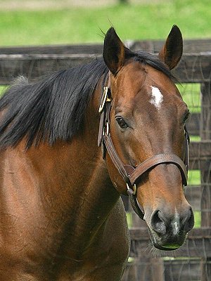 nowanjay 🌴+💮✈️ tweet media