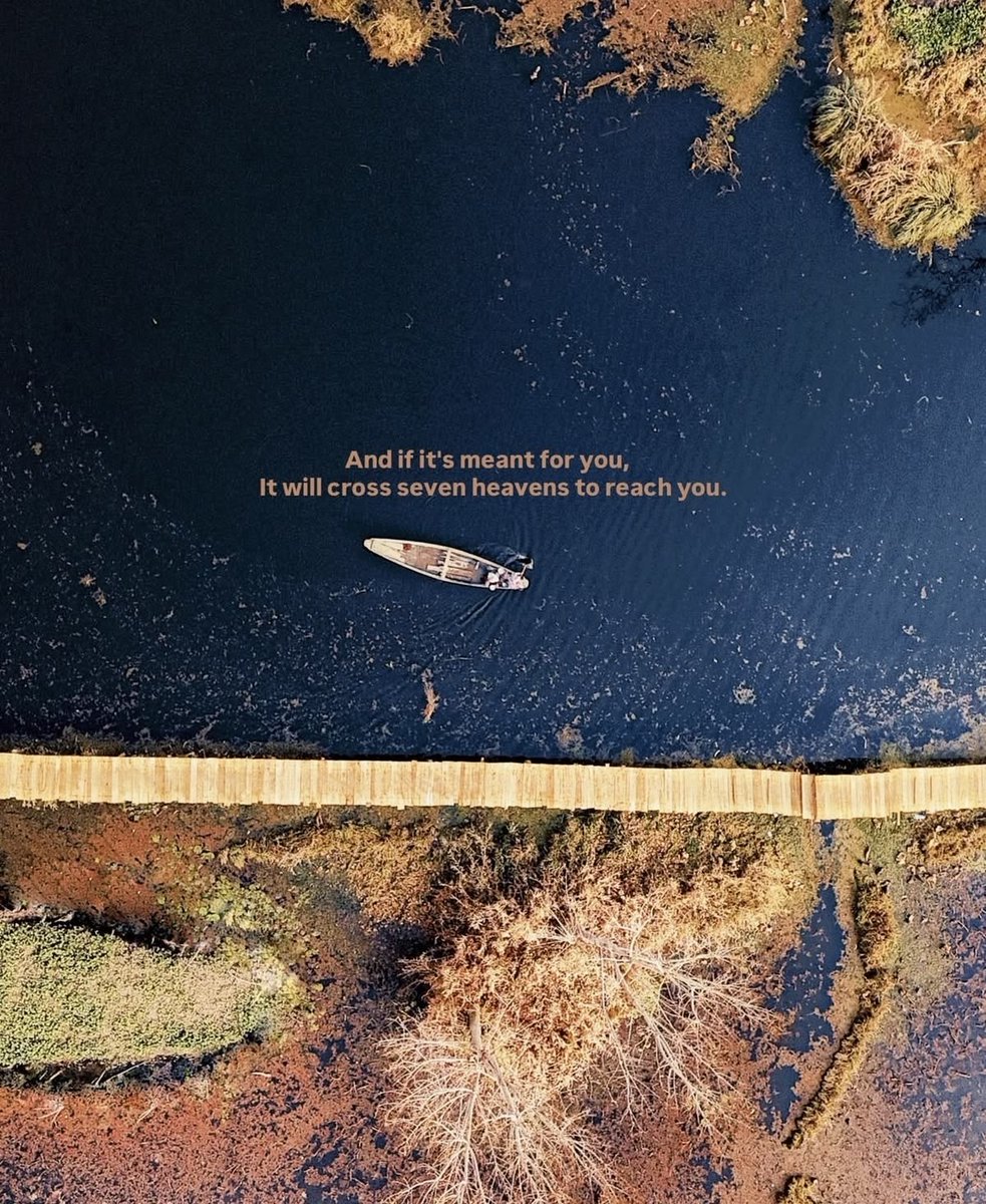 Synexdoche (@amor_fatti) on Twitter photo 