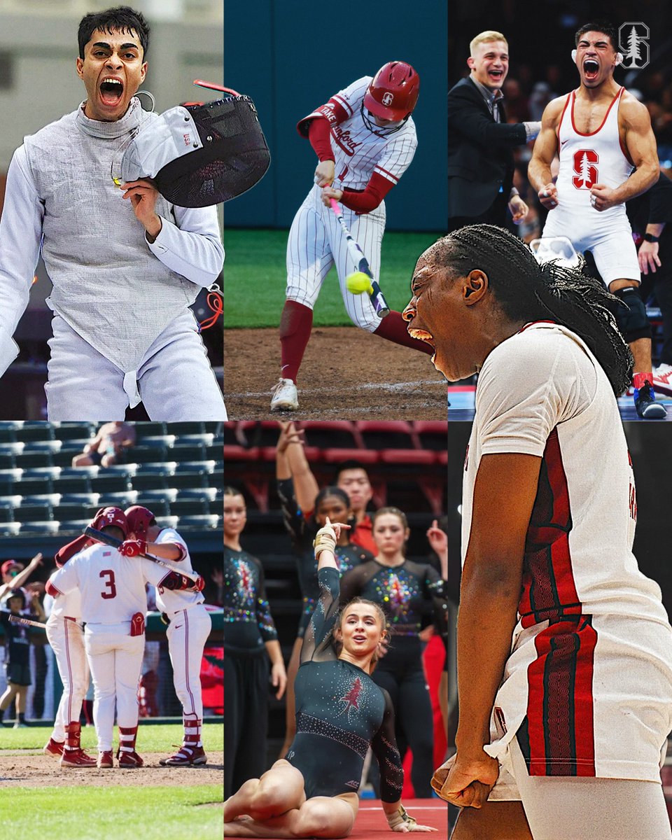 Stanford Cardinal 🌲🤓 tweet media