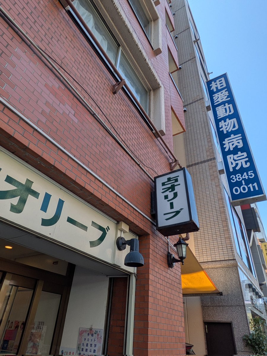 いくら（人相研究家・占術家） tweet media