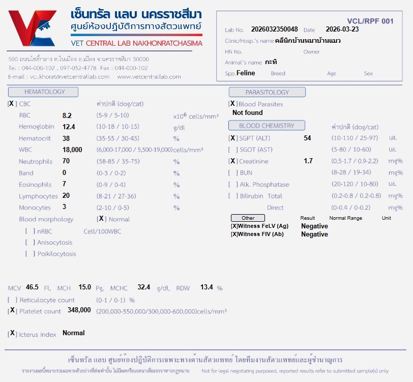 バラ Bara🌹 tweet media
