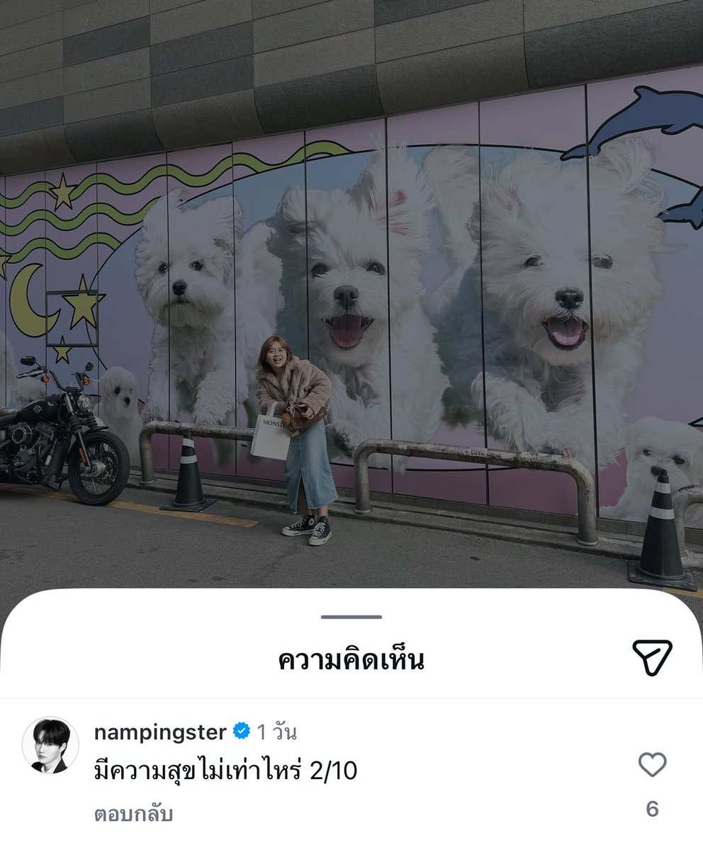 ฟองเต้าหู้ ᵜ tweet media