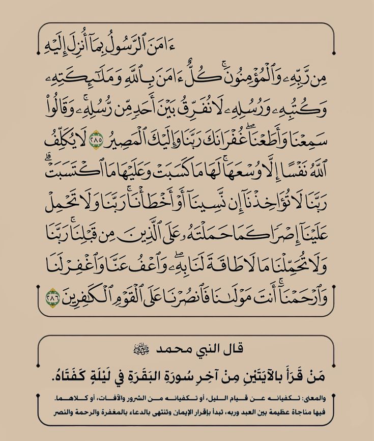 هدهده|🇰🇼 tweet media