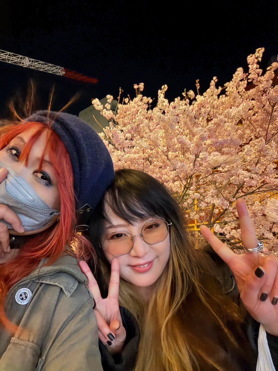 猫好きYOU | THE SOUND BEE HD | MARY RUE tweet media