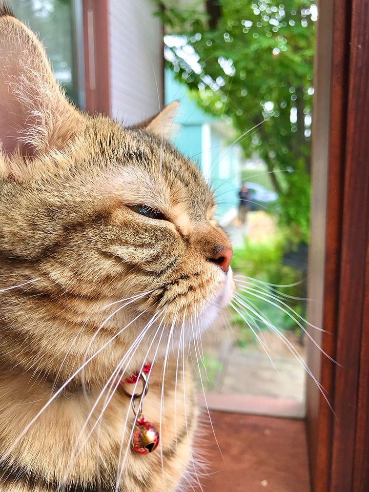 小路幸也 tweet media