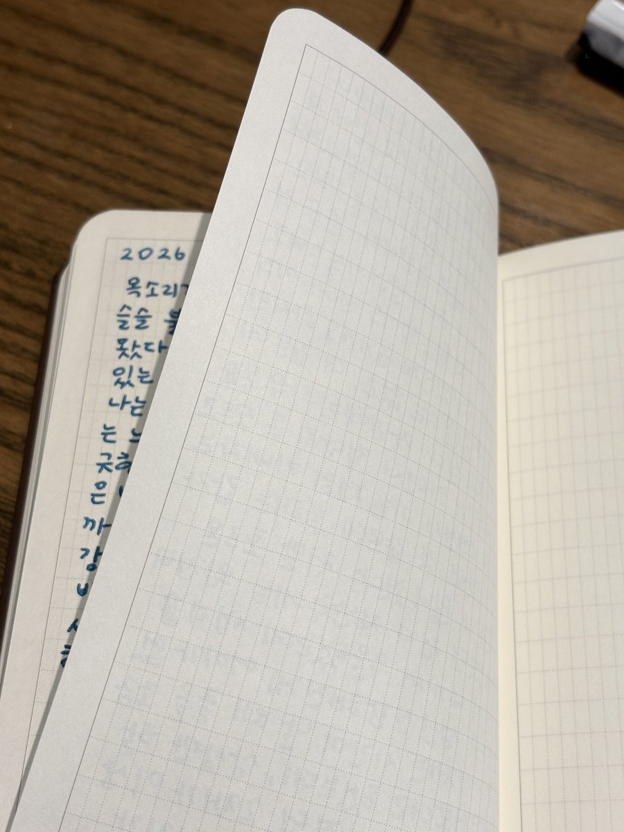 수지치치 tweet media