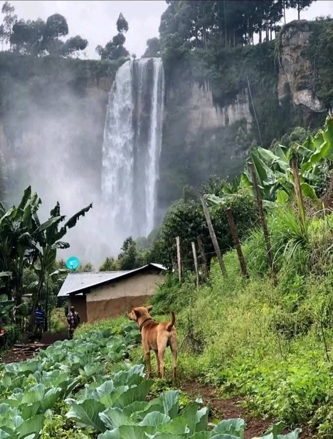 Kasee🗿 tweet media