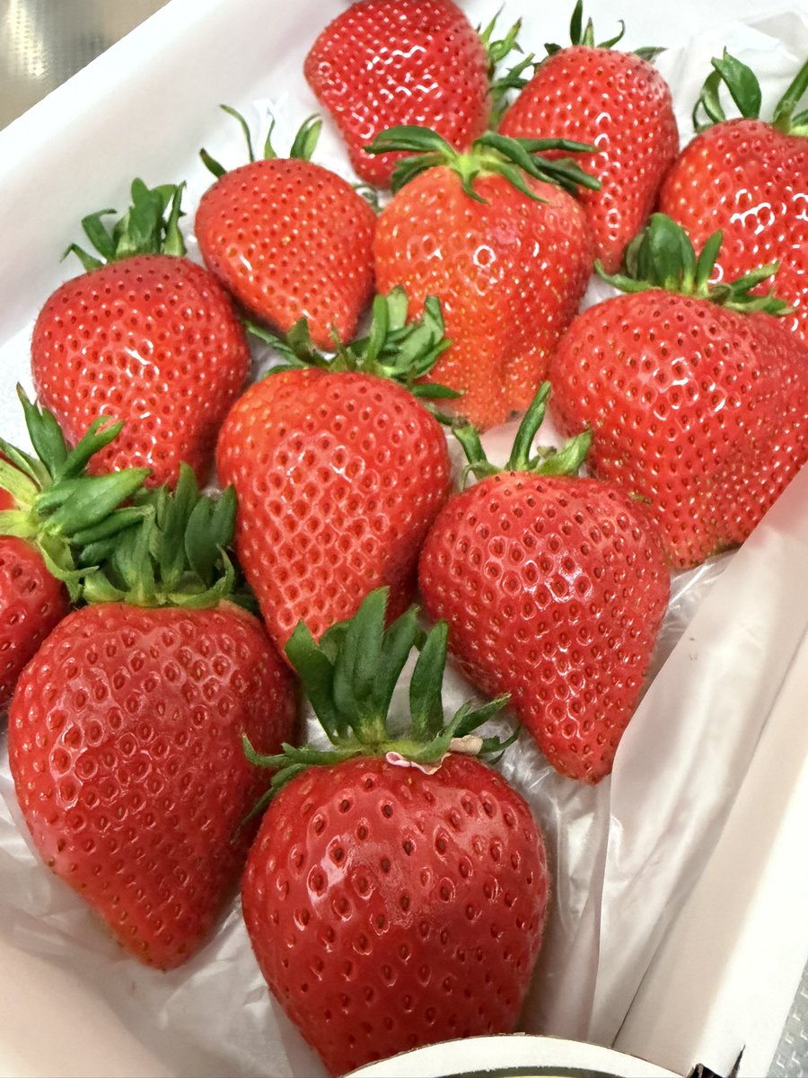 西千葉の叔母からとっても甘くて大きないちごをもらいました🍓千葉県産のやよいひめちゃんです
A4サイズの箱にたった12粒。とっても大きくて艶やか✨何より甘さに感動します。
丹精込めて作られたのがよく伝わる逸品。

いちごもまさに「食べる宝石」ですね🍓