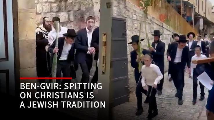 Aurelia Aurita tweet media