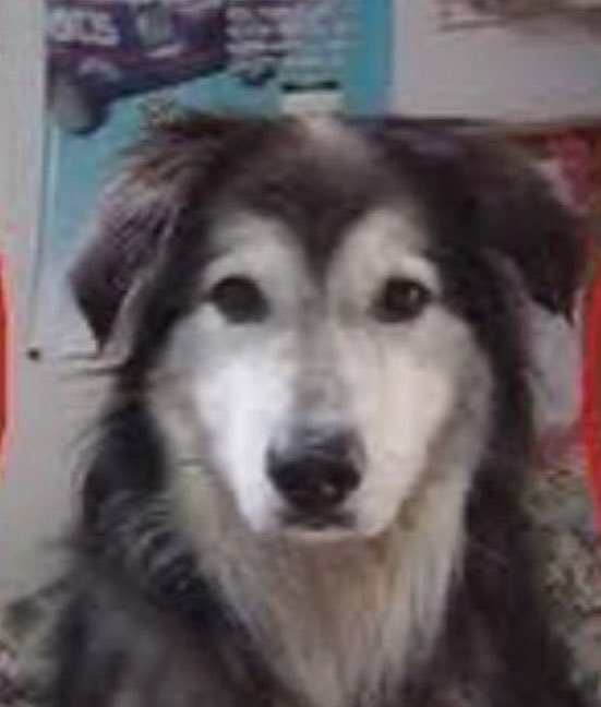 eddie ᥫ᭡ tweet media