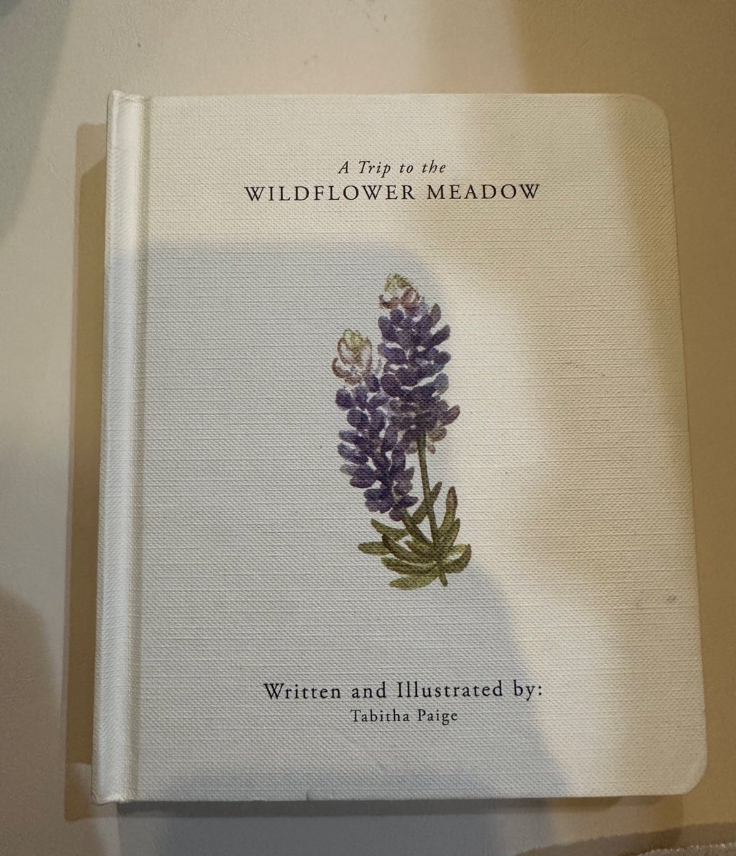 𝕤𝕥𝕒𝕣𝕕𝕦𝕤𝕥🎐🪺 tweet media