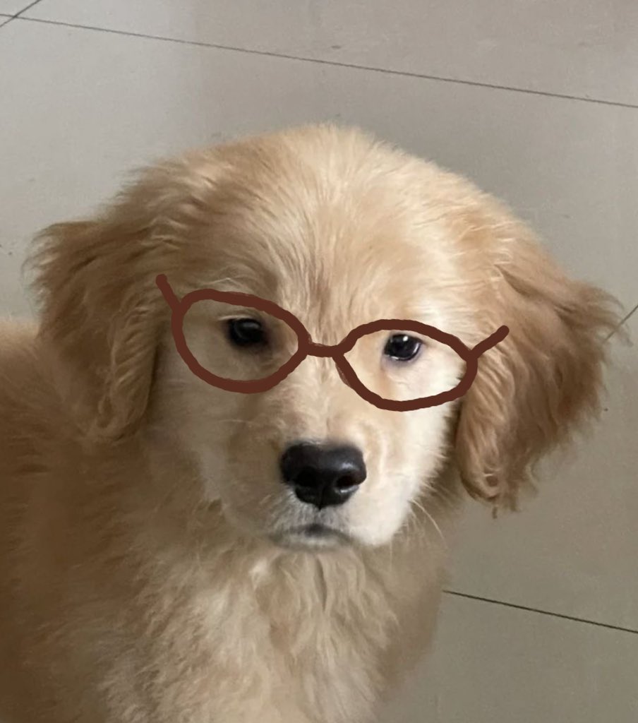 𝘀𝗮𝗹𝗮𝗱 tweet media