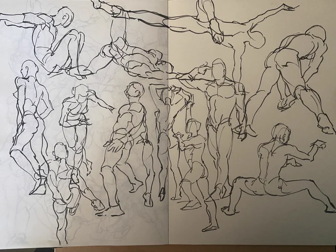 studies 
