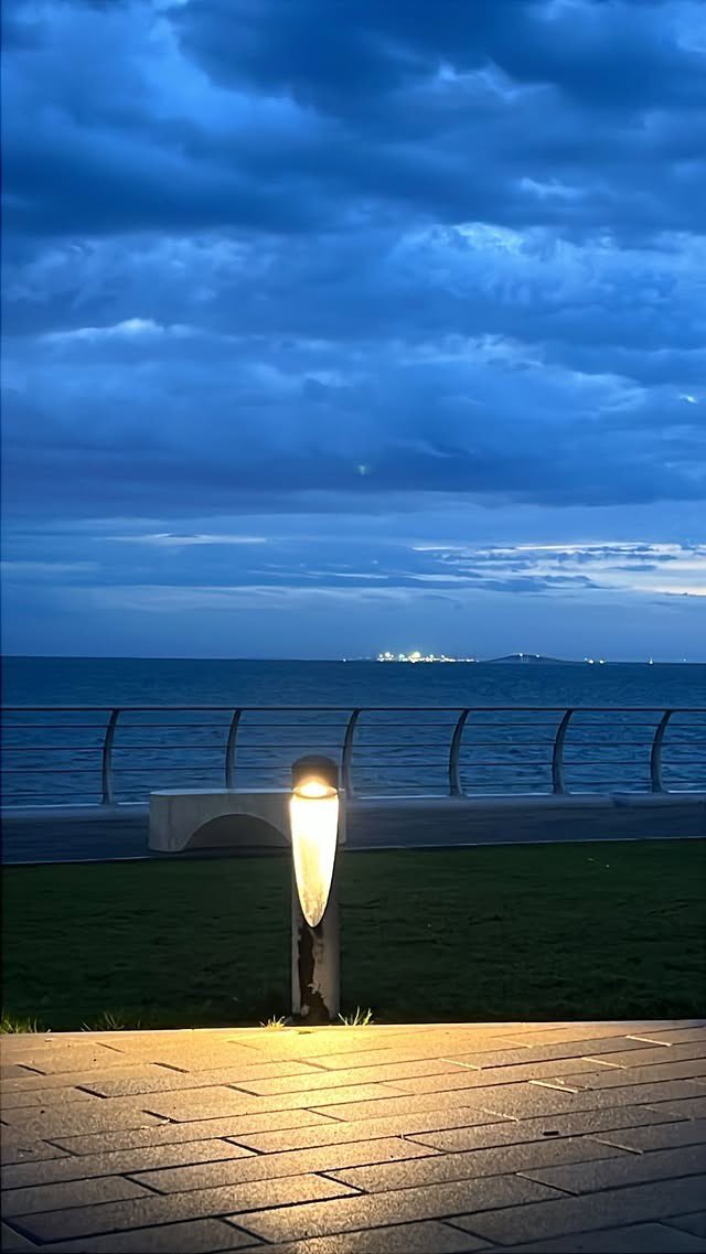 هــلا tweet media