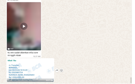 Naya ❀ ホムラ tweet media