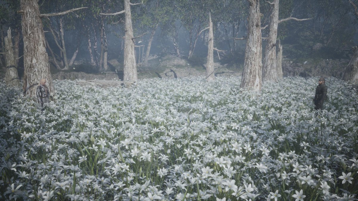 Elyel 🎮Ω🐍 tweet media