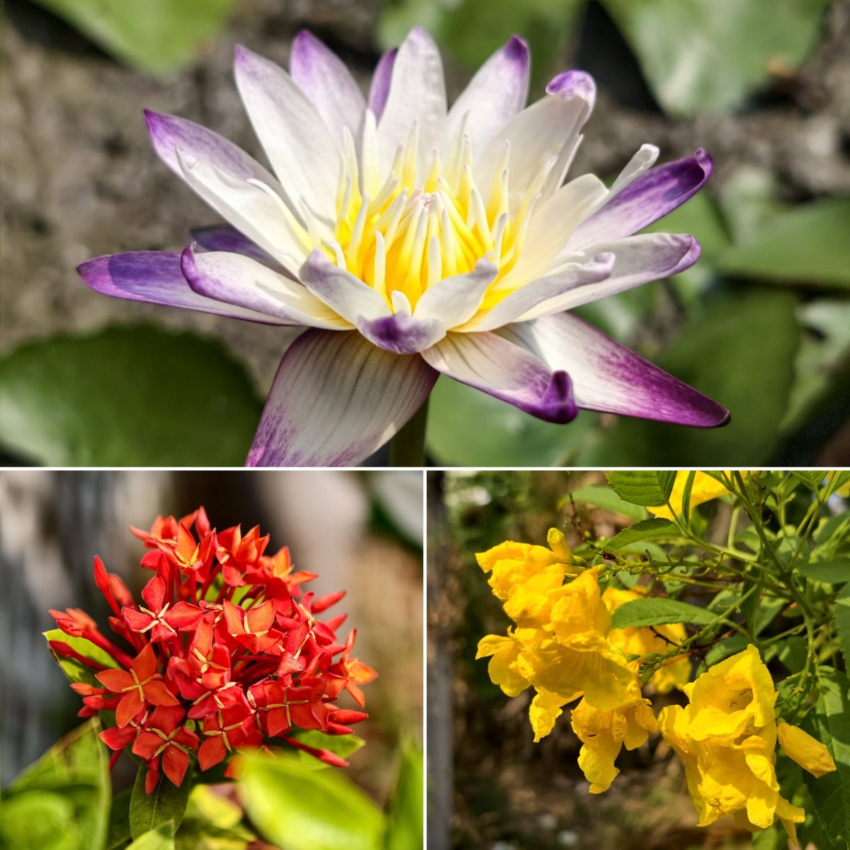 So what! (🏓) tweet media