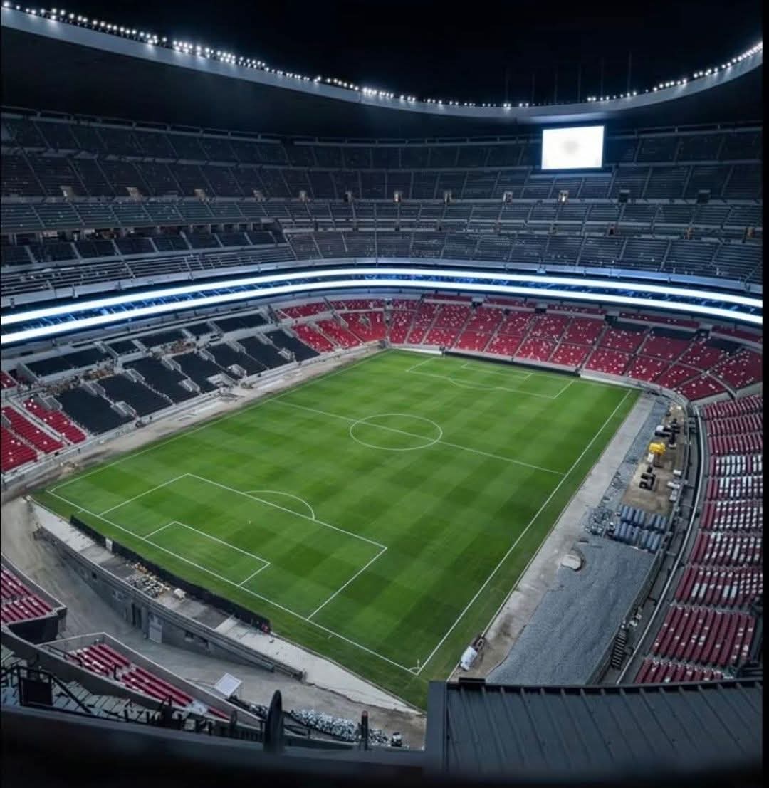 Gato de Tlalpan ®️ 🏆²⁰ tweet media