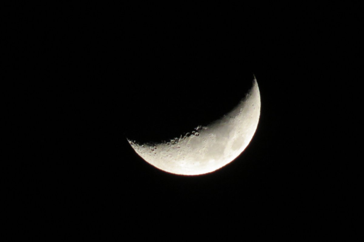 jax ☘️ tweet media