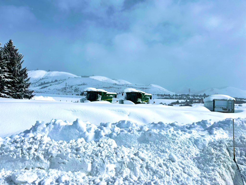 🌾Lakey🌾 tweet media