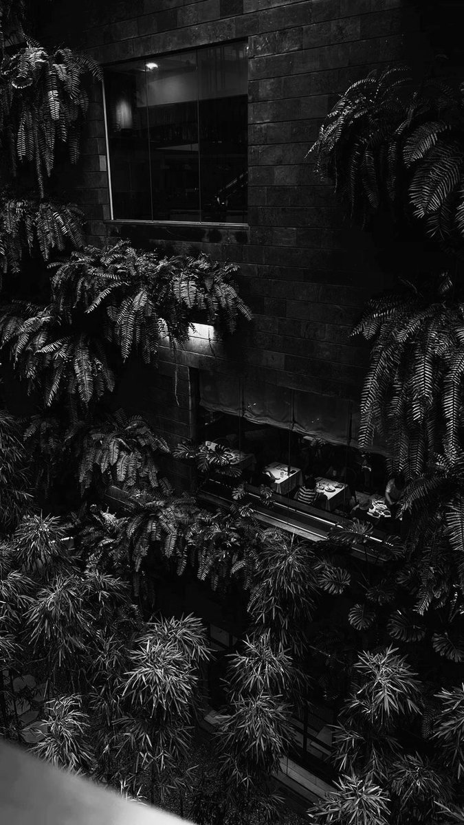 王, 𝘼𝙇𝘽𝙀𝙍𝙏. tweet media