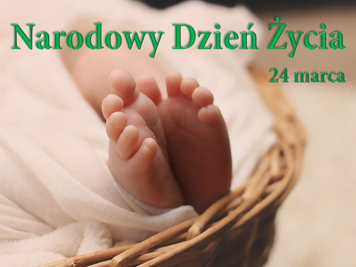 Gall Anonim🙂🇵🇱❤️🇺🇸❤️ tweet media