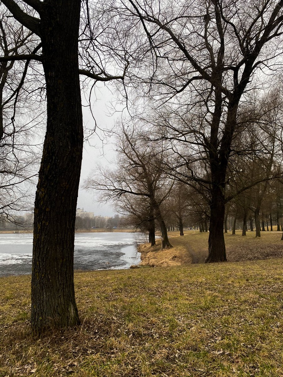 Шла Саша tweet media